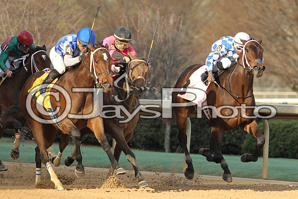 JWM160131_Oaklawn_0100