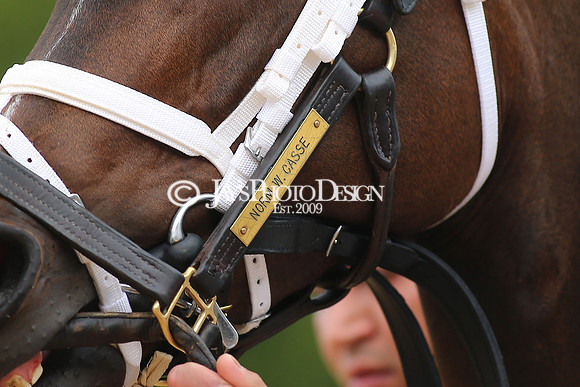 z23-0415_Apple Blossom Stakes_MANNING_0586