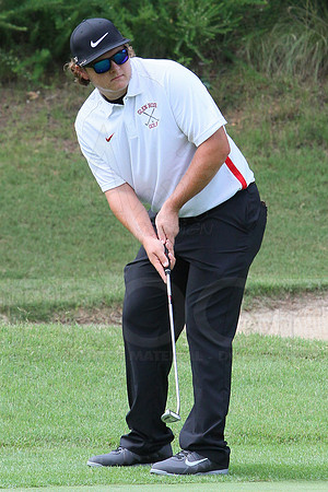 Glen Rose Golf-Cortez golf course (Hot Springs Village) 8-8-13 (© Justin Manning) JWM0071 0071