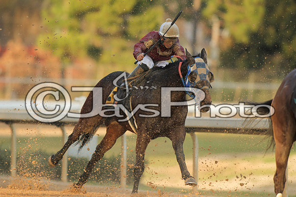 JWM160131_Oaklawn_0194