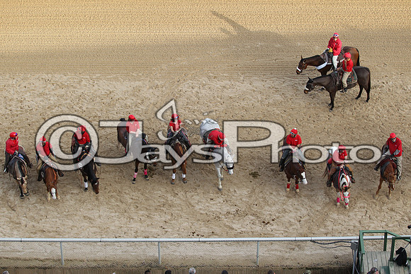 JWM160131_Oaklawn_0021