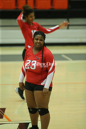 Camden Fairview @ Malvern JV_JWM_0275