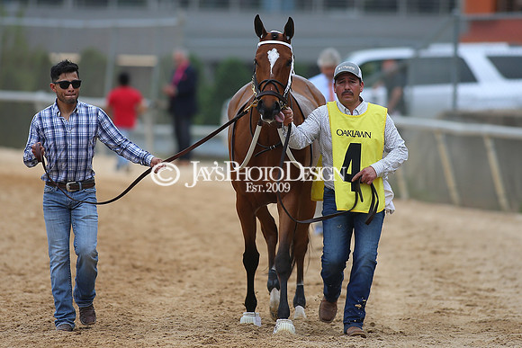 z23-0415_Apple Blossom Stakes_MANNING_0614