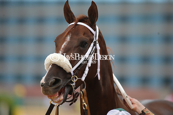 z23-0415_Apple Blossom Stakes_MANNING_0604