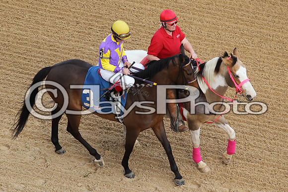 JWM160131_Oaklawn_0066