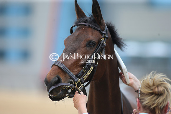 z23-0415_Apple Blossom Stakes_MANNING_0633