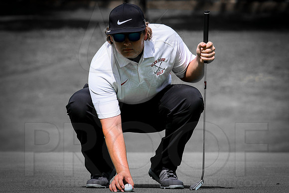 Glen Rose Golf-Cortez golf course (Hot Springs Village) 8-8-13 (© Justin Manning) JWM0097 0097