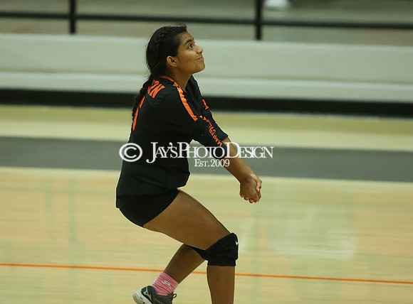 Camden Fairview @ Malvern JV_JWM_0048
