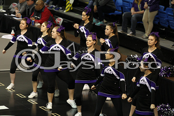 Riverview vs. Ozark 4A Girls State Finals 3-13-2015 (©Justin Manning) JWM_305