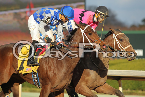 JWM160131_Oaklawn_0112