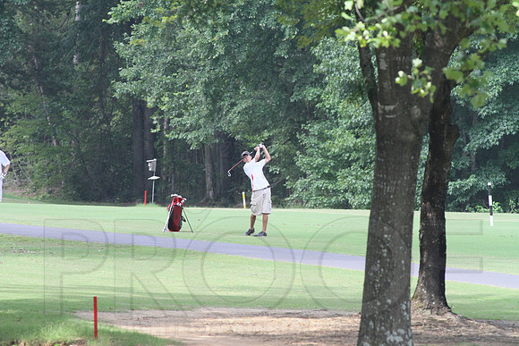 Glen Rose Golf-Cortez golf course (Hot Springs Village) 8-8-13 (© Justin Manning) JWM0109 0109