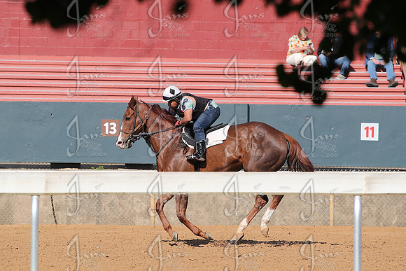 Apple Blossom Stakes Day 4-12-25_JWM_0002