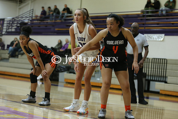 Malvern @ Fountain Lake 1-26-21_JWM_0253