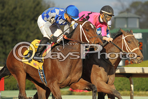 JWM160131_Oaklawn_0109
