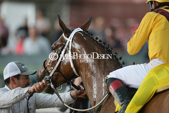 z23-0415_Apple Blossom Stakes_MANNING_1107
