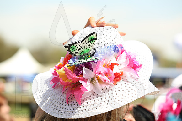 Arkansas Derby 4-12-2014 (© Justin Manning) JWM_0440