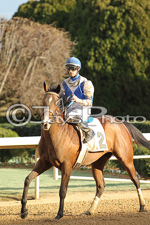JWM160131_Oaklawn_0119