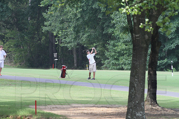 Glen Rose Golf-Cortez golf course (Hot Springs Village) 8-8-13 (© Justin Manning) JWM0110 0110