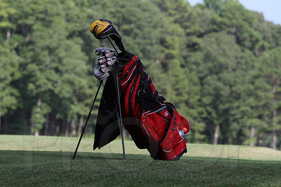Glen Rose Golf-Cortez golf course (Hot Springs Village) 8-8-13 (© Justin Manning) JWM0207 0207