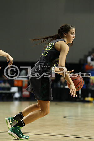 Nemo Vista vs. Wonderview 1A Girls State Finals 3-12-2015 (©Justin Manning) JWM_365