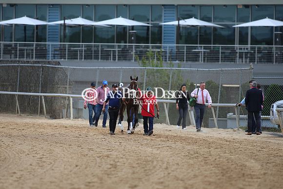 z23-0415_Apple Blossom Stakes_MANNING_0591