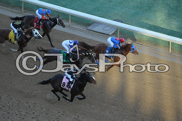 JWM_160215-southwest_0023
