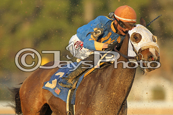 JWM160131_Oaklawn_0196