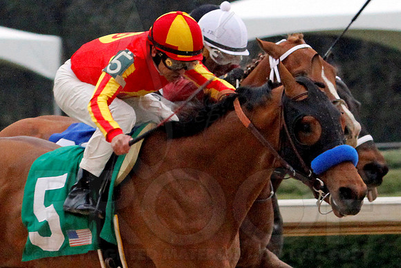 Rebel Stakes 3-15-14 3-15-2014 (© Justin Manning) JWM_0242