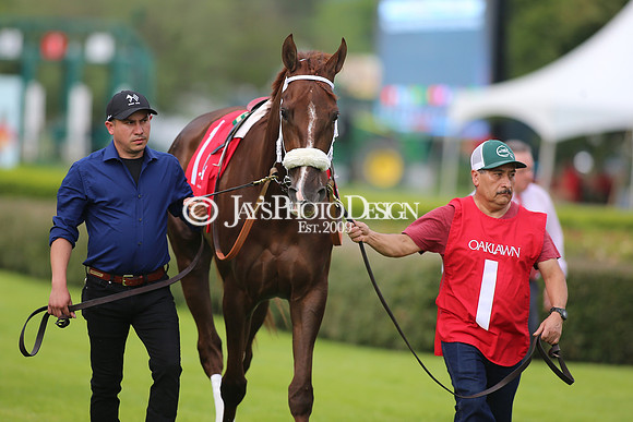 z23-0415_Apple Blossom Stakes_MANNING_0770