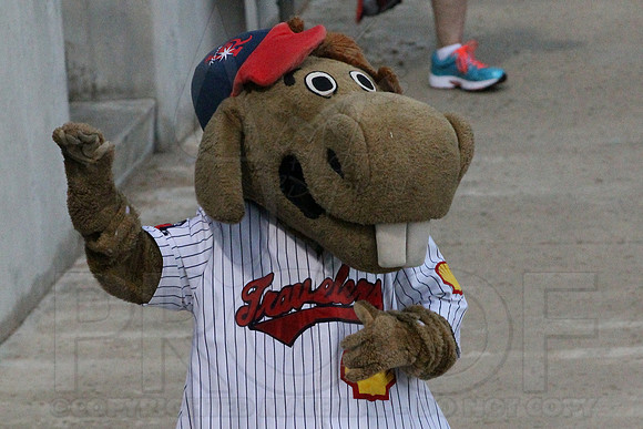 Springfield Cardinals @ Arkansas Travelers 8-4-13 (© Justin Manning) JWM0184