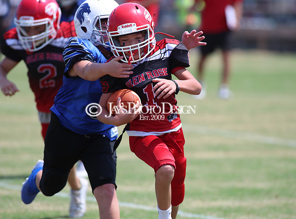 6th Grade Peewee Football (Glen Rose @ Bismarck) 8-24-24_JWM_0211