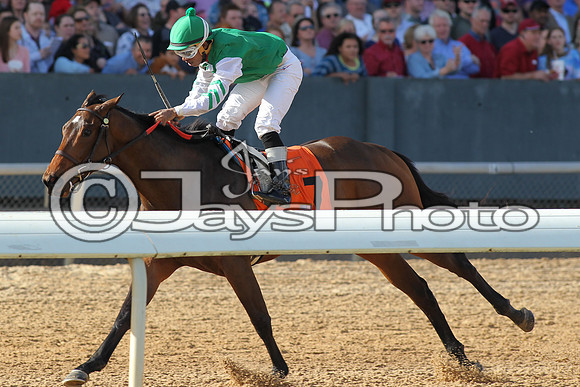 JWM160131_Oaklawn_0016