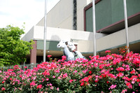 JWM 170415_ArkansasDerby_00148