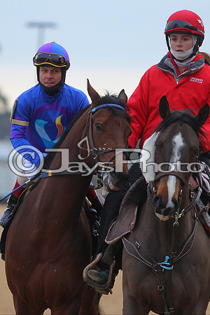Oaklawn Smarty Jones Stakes 1-18-2016 (©Justin Manning) JWM_(0316