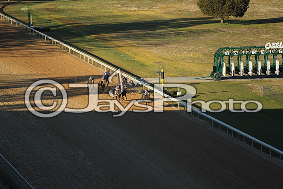 JWM_160215-southwest_0080