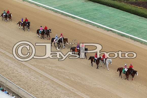 JWM160131_Oaklawn_0069
