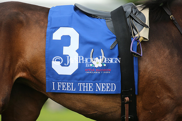 z23-0415_Apple Blossom Stakes_MANNING_0792