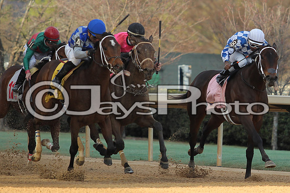JWM160131_Oaklawn_0098
