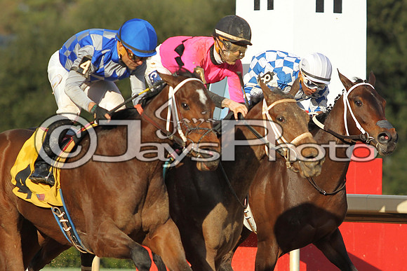 JWM160131_Oaklawn_0106