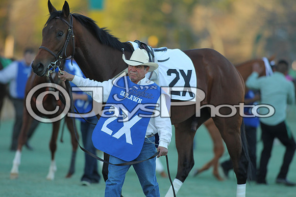 JWM_160215-southwest_0476