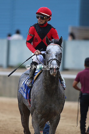 z23-0415_Apple Blossom Stakes_MANNING_0365