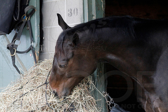 Oaklawn 1-11-13 (Justin Manning)0025