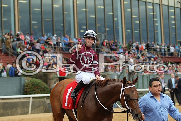 Southwest Stakes (GradeIII) 2-20-17_JWM00270