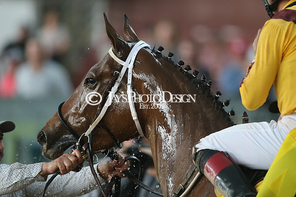 z23-0415_Apple Blossom Stakes_MANNING_1111