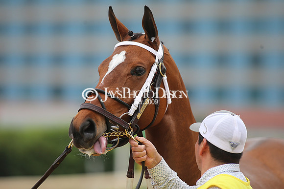 z23-0415_Apple Blossom Stakes_MANNING_0625