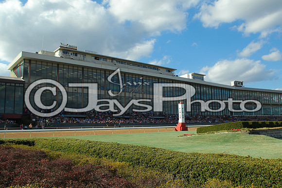 JWM160131_Oaklawn_0010