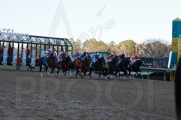 Oaklawn 1-21-13 (Smarty Jones Stakes) (Justin Manning)0209