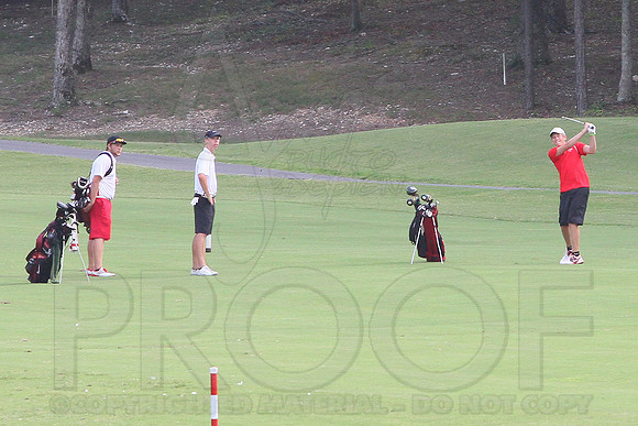 Glen Rose Golf-Cortez golf course (Hot Springs Village) 8-8-13 (© Justin Manning) JWM0142 0142