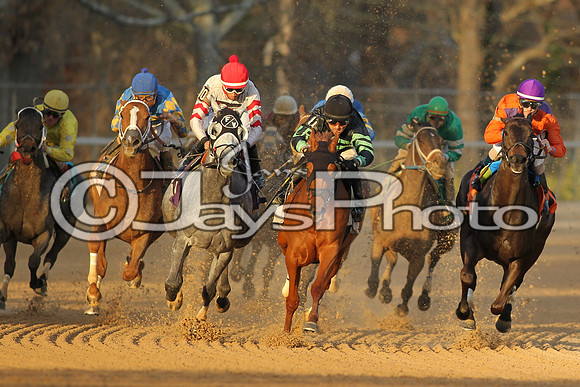 JWM160131_Oaklawn_0172