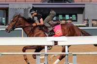 Apple Blossom Stakes Day 4-12-25_JWM_0057